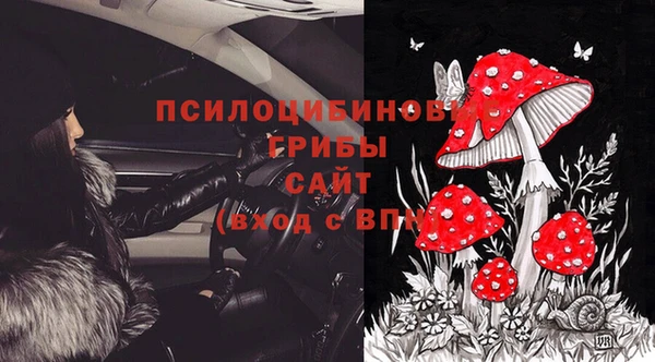 крисы Алексеевка