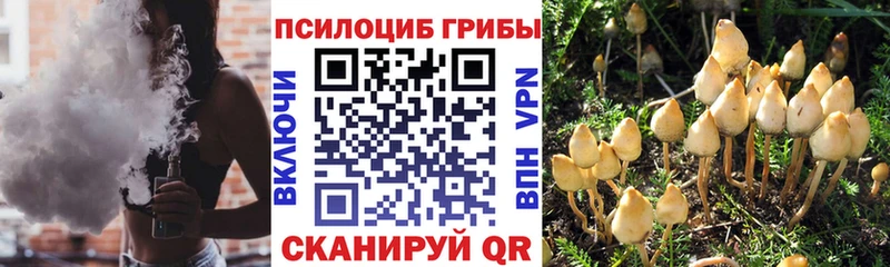 Псилоцибиновые грибы ЛСД  MEGA зеркало  Спасск  наркотики 